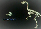 RGtBVX