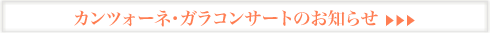 �K���R���T�[�g�̂��m�点