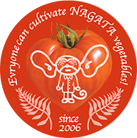 �قړ��C�g�C�V���s���_���o�i�[