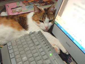 �L��PC
