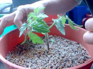 �g�}�g�����Y�c