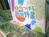 ����ł������i�c���DVD
