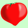 �t�@�[�X�g�g�}�g�A�C�R��