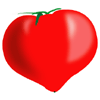 �t�@�[�X�g�g�}�g