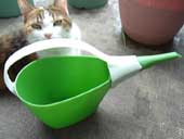 Watering-pot