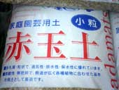 �ԋʓy