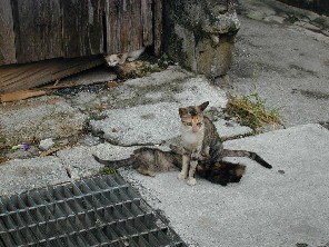 �m������񂽂�
