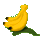 �o�i�i