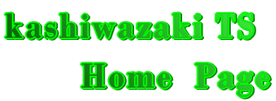 kashiwazaki TS        Home  Page 