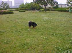 �L��̂���
