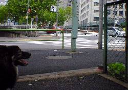 �D�̒Ҍ����_