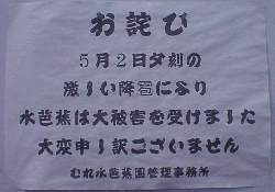 �Ђ傤��Q�|�X�^�[