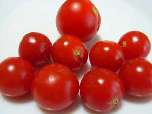 �~�j�g�}�g�i�؂؁j