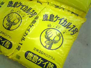 PCJP