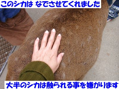 �G���Ă͂����܂���B�悢�q�̓}�l���Ȃ��łˁB