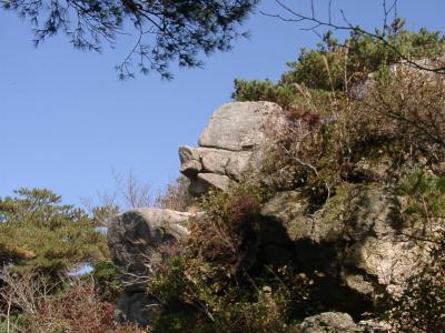 �r���̓��ŃC�m�V�V�ɉ�܂���