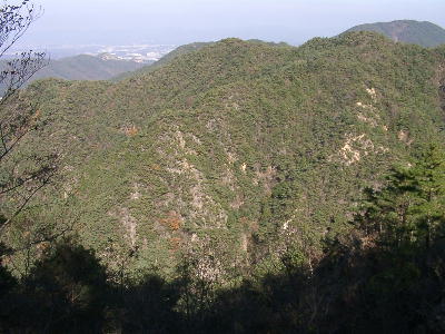 �n���J����������̒��߁B�Z�b�A���v�X������܂��B