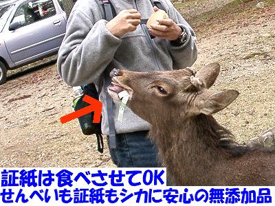 �ޗǌ����͎����炯�B