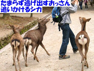 �I���W���
