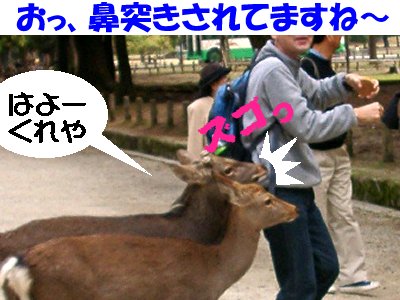 �������܂ꂽ�B