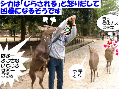 ���������c